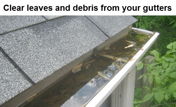 Proper gutter maintenance is your first line of defense against leaks inside your home.